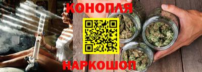 шишки Донской