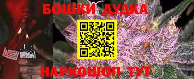 шишки Донской